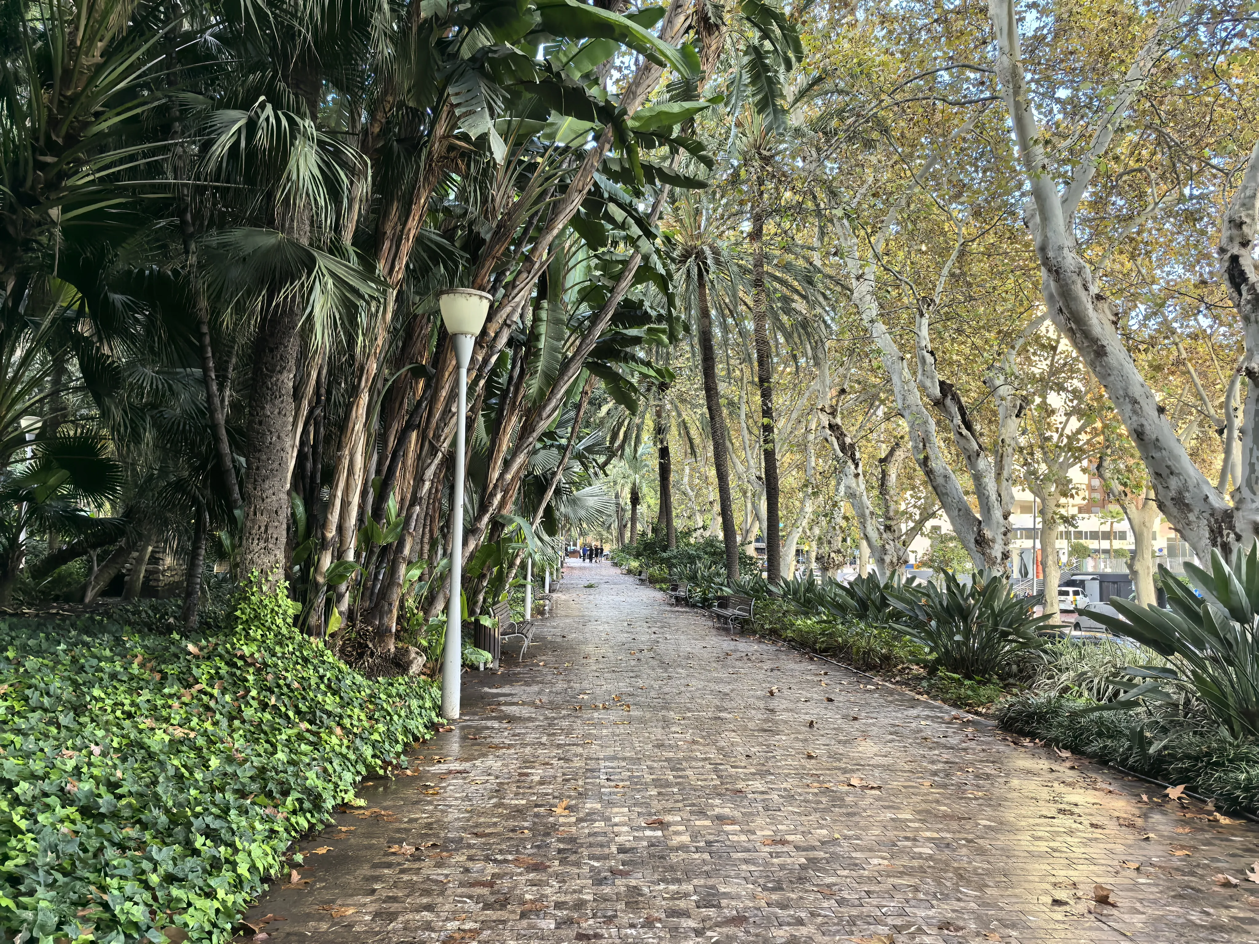 HUAWEI Pura 70 Ultra - System Aparatów - IMG_20251117_171852.webp